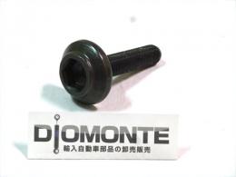 【アウディ A4 A5 A6 A8 Q5 Q7】ハブロックボルト/8E0407643A